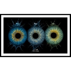 Séance IRIS, le miroir de l'âme